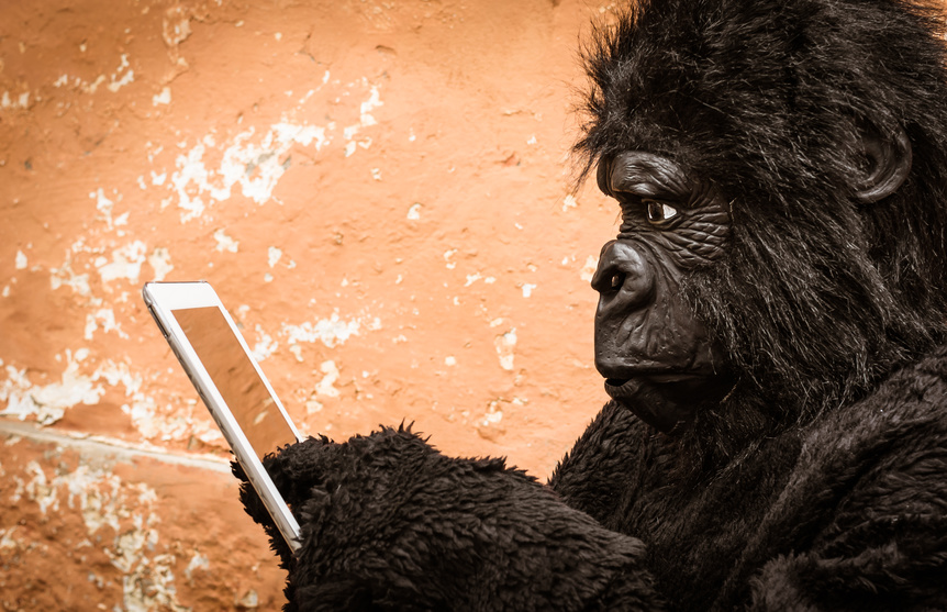 Gorilla with digital Tablet